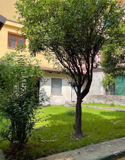 Apartament Il Giardino Nascosto Omegna Zewnętrze zdjęcie